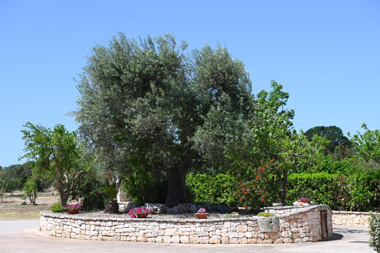 Masseria Peppeturro Cisternino Bagian luar foto